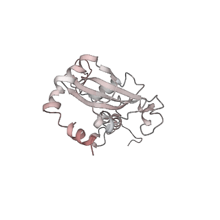 6643_5juo_S_v1-3
Saccharomyces cerevisiae 80S ribosome bound with elongation factor eEF2-GDP-sordarin and Taura Syndrome Virus IRES, Structure I (fully rotated 40S subunit)