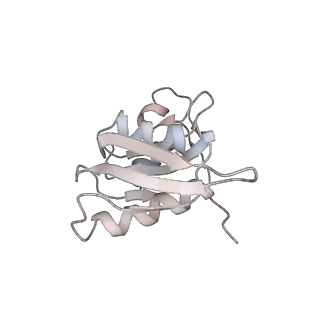 6643_5juo_TB_v1-3
Saccharomyces cerevisiae 80S ribosome bound with elongation factor eEF2-GDP-sordarin and Taura Syndrome Virus IRES, Structure I (fully rotated 40S subunit)