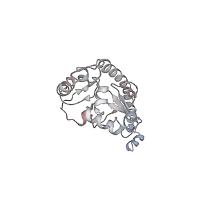 6643_5juo_T_v1-3
Saccharomyces cerevisiae 80S ribosome bound with elongation factor eEF2-GDP-sordarin and Taura Syndrome Virus IRES, Structure I (fully rotated 40S subunit)
