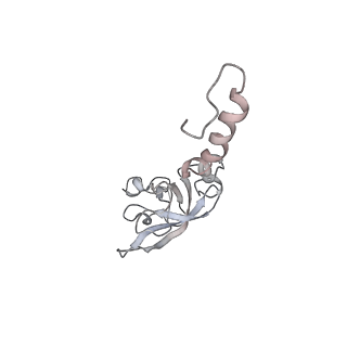 6643_5juo_UB_v1-3
Saccharomyces cerevisiae 80S ribosome bound with elongation factor eEF2-GDP-sordarin and Taura Syndrome Virus IRES, Structure I (fully rotated 40S subunit)