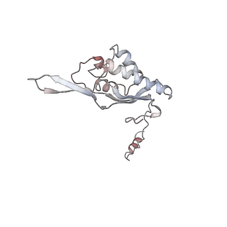 6643_5juo_U_v1-3
Saccharomyces cerevisiae 80S ribosome bound with elongation factor eEF2-GDP-sordarin and Taura Syndrome Virus IRES, Structure I (fully rotated 40S subunit)