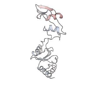 6643_5juo_VA_v1-3
Saccharomyces cerevisiae 80S ribosome bound with elongation factor eEF2-GDP-sordarin and Taura Syndrome Virus IRES, Structure I (fully rotated 40S subunit)