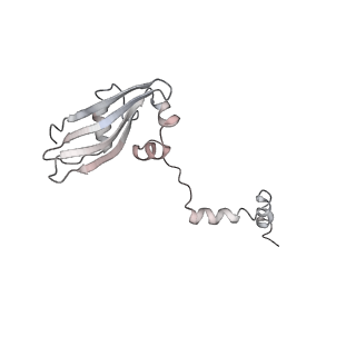 6643_5juo_VB_v1-3
Saccharomyces cerevisiae 80S ribosome bound with elongation factor eEF2-GDP-sordarin and Taura Syndrome Virus IRES, Structure I (fully rotated 40S subunit)