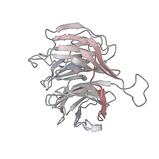6643_5juo_WA_v1-3
Saccharomyces cerevisiae 80S ribosome bound with elongation factor eEF2-GDP-sordarin and Taura Syndrome Virus IRES, Structure I (fully rotated 40S subunit)