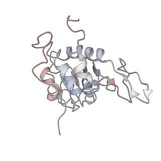 6643_5juo_XA_v1-3
Saccharomyces cerevisiae 80S ribosome bound with elongation factor eEF2-GDP-sordarin and Taura Syndrome Virus IRES, Structure I (fully rotated 40S subunit)