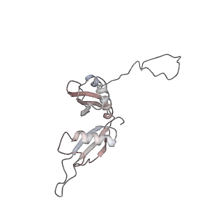6643_5juo_X_v1-3
Saccharomyces cerevisiae 80S ribosome bound with elongation factor eEF2-GDP-sordarin and Taura Syndrome Virus IRES, Structure I (fully rotated 40S subunit)