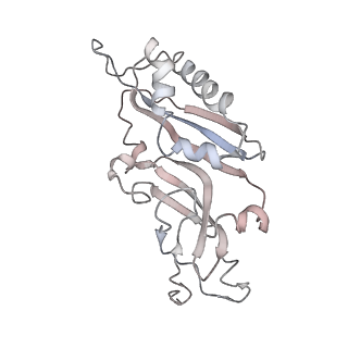 6643_5juo_YA_v1-3
Saccharomyces cerevisiae 80S ribosome bound with elongation factor eEF2-GDP-sordarin and Taura Syndrome Virus IRES, Structure I (fully rotated 40S subunit)