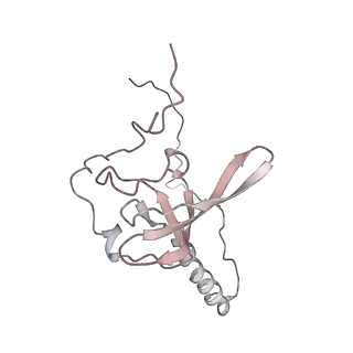 6643_5juo_Y_v1-3
Saccharomyces cerevisiae 80S ribosome bound with elongation factor eEF2-GDP-sordarin and Taura Syndrome Virus IRES, Structure I (fully rotated 40S subunit)