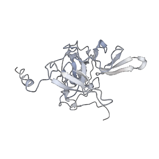 6644_5jup_BB_v1-3
Saccharomyces cerevisiae 80S ribosome bound with elongation factor eEF2-GDP-sordarin and Taura Syndrome Virus IRES, Structure II (mid-rotated 40S subunit)