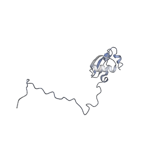 6644_5jup_CA_v1-3
Saccharomyces cerevisiae 80S ribosome bound with elongation factor eEF2-GDP-sordarin and Taura Syndrome Virus IRES, Structure II (mid-rotated 40S subunit)