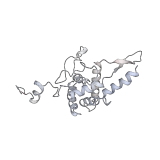 6644_5jup_CB_v1-3
Saccharomyces cerevisiae 80S ribosome bound with elongation factor eEF2-GDP-sordarin and Taura Syndrome Virus IRES, Structure II (mid-rotated 40S subunit)