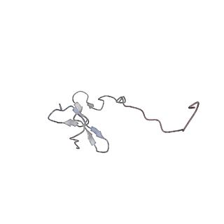 6644_5jup_CC_v1-3
Saccharomyces cerevisiae 80S ribosome bound with elongation factor eEF2-GDP-sordarin and Taura Syndrome Virus IRES, Structure II (mid-rotated 40S subunit)