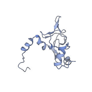 6644_5jup_DA_v1-3
Saccharomyces cerevisiae 80S ribosome bound with elongation factor eEF2-GDP-sordarin and Taura Syndrome Virus IRES, Structure II (mid-rotated 40S subunit)