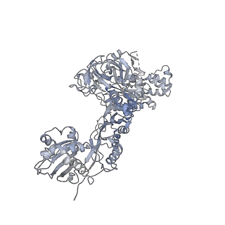 6644_5jup_DC_v1-3
Saccharomyces cerevisiae 80S ribosome bound with elongation factor eEF2-GDP-sordarin and Taura Syndrome Virus IRES, Structure II (mid-rotated 40S subunit)