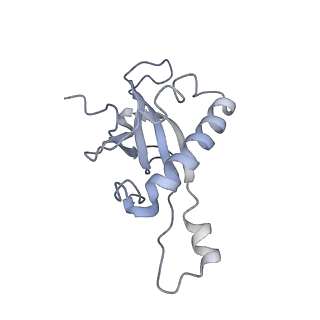 6644_5jup_EA_v1-3
Saccharomyces cerevisiae 80S ribosome bound with elongation factor eEF2-GDP-sordarin and Taura Syndrome Virus IRES, Structure II (mid-rotated 40S subunit)