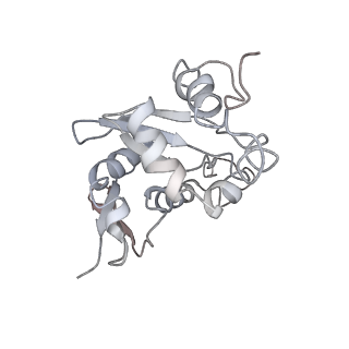 6644_5jup_EB_v1-3
Saccharomyces cerevisiae 80S ribosome bound with elongation factor eEF2-GDP-sordarin and Taura Syndrome Virus IRES, Structure II (mid-rotated 40S subunit)