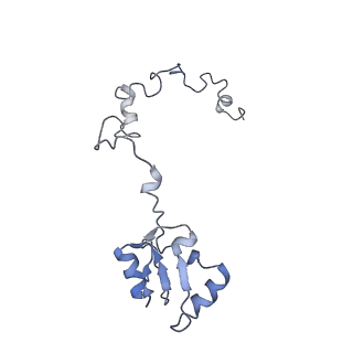 6644_5jup_FA_v1-3
Saccharomyces cerevisiae 80S ribosome bound with elongation factor eEF2-GDP-sordarin and Taura Syndrome Virus IRES, Structure II (mid-rotated 40S subunit)