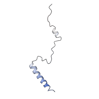 6644_5jup_GA_v1-3
Saccharomyces cerevisiae 80S ribosome bound with elongation factor eEF2-GDP-sordarin and Taura Syndrome Virus IRES, Structure II (mid-rotated 40S subunit)