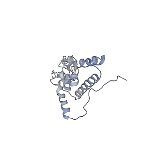 6644_5jup_GB_v1-3
Saccharomyces cerevisiae 80S ribosome bound with elongation factor eEF2-GDP-sordarin and Taura Syndrome Virus IRES, Structure II (mid-rotated 40S subunit)