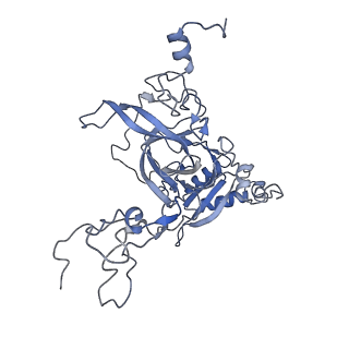 6644_5jup_G_v1-3
Saccharomyces cerevisiae 80S ribosome bound with elongation factor eEF2-GDP-sordarin and Taura Syndrome Virus IRES, Structure II (mid-rotated 40S subunit)
