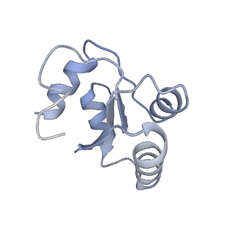 6644_5jup_HA_v1-3
Saccharomyces cerevisiae 80S ribosome bound with elongation factor eEF2-GDP-sordarin and Taura Syndrome Virus IRES, Structure II (mid-rotated 40S subunit)