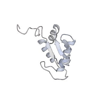 6644_5jup_HB_v1-3
Saccharomyces cerevisiae 80S ribosome bound with elongation factor eEF2-GDP-sordarin and Taura Syndrome Virus IRES, Structure II (mid-rotated 40S subunit)
