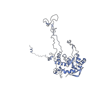 6644_5jup_H_v1-3
Saccharomyces cerevisiae 80S ribosome bound with elongation factor eEF2-GDP-sordarin and Taura Syndrome Virus IRES, Structure II (mid-rotated 40S subunit)