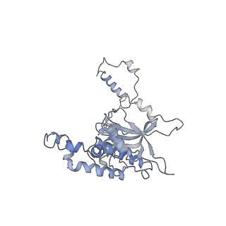 6644_5jup_I_v1-3
Saccharomyces cerevisiae 80S ribosome bound with elongation factor eEF2-GDP-sordarin and Taura Syndrome Virus IRES, Structure II (mid-rotated 40S subunit)