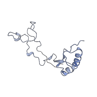 6644_5jup_JA_v1-3
Saccharomyces cerevisiae 80S ribosome bound with elongation factor eEF2-GDP-sordarin and Taura Syndrome Virus IRES, Structure II (mid-rotated 40S subunit)