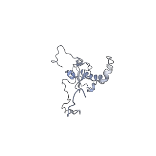 6644_5jup_J_v1-3
Saccharomyces cerevisiae 80S ribosome bound with elongation factor eEF2-GDP-sordarin and Taura Syndrome Virus IRES, Structure II (mid-rotated 40S subunit)