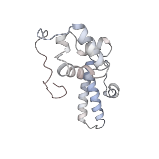 6644_5jup_KB_v1-3
Saccharomyces cerevisiae 80S ribosome bound with elongation factor eEF2-GDP-sordarin and Taura Syndrome Virus IRES, Structure II (mid-rotated 40S subunit)