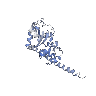 6644_5jup_K_v1-3
Saccharomyces cerevisiae 80S ribosome bound with elongation factor eEF2-GDP-sordarin and Taura Syndrome Virus IRES, Structure II (mid-rotated 40S subunit)