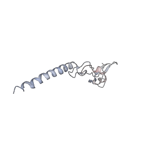 6644_5jup_LA_v1-3
Saccharomyces cerevisiae 80S ribosome bound with elongation factor eEF2-GDP-sordarin and Taura Syndrome Virus IRES, Structure II (mid-rotated 40S subunit)