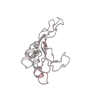 6644_5jup_LB_v1-3
Saccharomyces cerevisiae 80S ribosome bound with elongation factor eEF2-GDP-sordarin and Taura Syndrome Virus IRES, Structure II (mid-rotated 40S subunit)