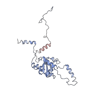 6644_5jup_L_v1-3
Saccharomyces cerevisiae 80S ribosome bound with elongation factor eEF2-GDP-sordarin and Taura Syndrome Virus IRES, Structure II (mid-rotated 40S subunit)