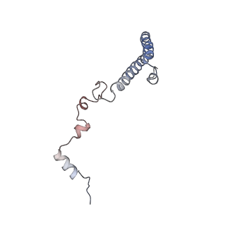 6644_5jup_MA_v1-3
Saccharomyces cerevisiae 80S ribosome bound with elongation factor eEF2-GDP-sordarin and Taura Syndrome Virus IRES, Structure II (mid-rotated 40S subunit)