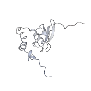 6644_5jup_MB_v1-3
Saccharomyces cerevisiae 80S ribosome bound with elongation factor eEF2-GDP-sordarin and Taura Syndrome Virus IRES, Structure II (mid-rotated 40S subunit)