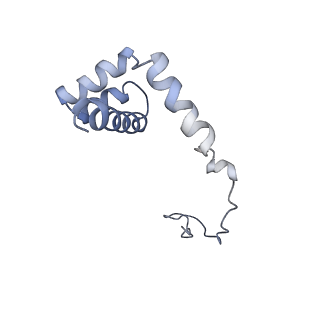 6644_5jup_NA_v1-3
Saccharomyces cerevisiae 80S ribosome bound with elongation factor eEF2-GDP-sordarin and Taura Syndrome Virus IRES, Structure II (mid-rotated 40S subunit)