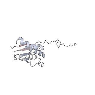 6644_5jup_NB_v1-3
Saccharomyces cerevisiae 80S ribosome bound with elongation factor eEF2-GDP-sordarin and Taura Syndrome Virus IRES, Structure II (mid-rotated 40S subunit)