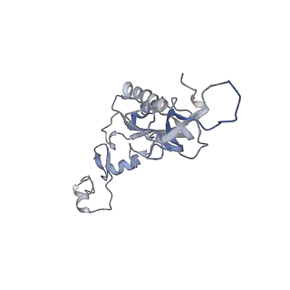 6644_5jup_N_v1-3
Saccharomyces cerevisiae 80S ribosome bound with elongation factor eEF2-GDP-sordarin and Taura Syndrome Virus IRES, Structure II (mid-rotated 40S subunit)