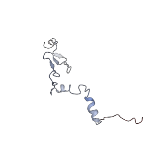 6644_5jup_OA_v1-3
Saccharomyces cerevisiae 80S ribosome bound with elongation factor eEF2-GDP-sordarin and Taura Syndrome Virus IRES, Structure II (mid-rotated 40S subunit)