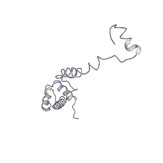 6644_5jup_OB_v1-3
Saccharomyces cerevisiae 80S ribosome bound with elongation factor eEF2-GDP-sordarin and Taura Syndrome Virus IRES, Structure II (mid-rotated 40S subunit)