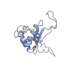6644_5jup_O_v1-3
Saccharomyces cerevisiae 80S ribosome bound with elongation factor eEF2-GDP-sordarin and Taura Syndrome Virus IRES, Structure II (mid-rotated 40S subunit)