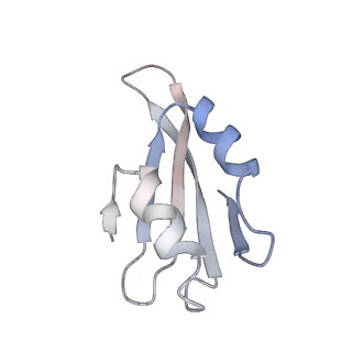 6644_5jup_PA_v1-3
Saccharomyces cerevisiae 80S ribosome bound with elongation factor eEF2-GDP-sordarin and Taura Syndrome Virus IRES, Structure II (mid-rotated 40S subunit)