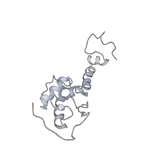 6644_5jup_PB_v1-3
Saccharomyces cerevisiae 80S ribosome bound with elongation factor eEF2-GDP-sordarin and Taura Syndrome Virus IRES, Structure II (mid-rotated 40S subunit)