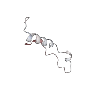 6644_5jup_QA_v1-3
Saccharomyces cerevisiae 80S ribosome bound with elongation factor eEF2-GDP-sordarin and Taura Syndrome Virus IRES, Structure II (mid-rotated 40S subunit)