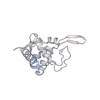 6644_5jup_QB_v1-3
Saccharomyces cerevisiae 80S ribosome bound with elongation factor eEF2-GDP-sordarin and Taura Syndrome Virus IRES, Structure II (mid-rotated 40S subunit)