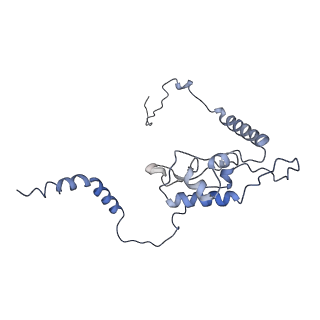 6644_5jup_Q_v1-3
Saccharomyces cerevisiae 80S ribosome bound with elongation factor eEF2-GDP-sordarin and Taura Syndrome Virus IRES, Structure II (mid-rotated 40S subunit)
