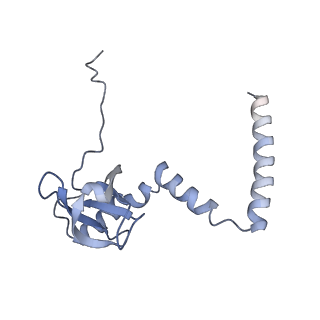 6644_5jup_R_v1-3
Saccharomyces cerevisiae 80S ribosome bound with elongation factor eEF2-GDP-sordarin and Taura Syndrome Virus IRES, Structure II (mid-rotated 40S subunit)