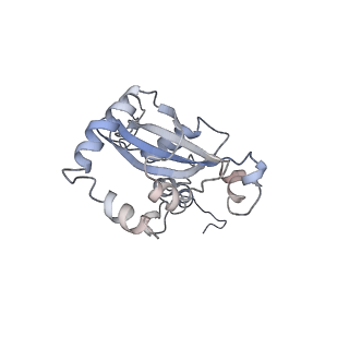 6644_5jup_S_v1-3
Saccharomyces cerevisiae 80S ribosome bound with elongation factor eEF2-GDP-sordarin and Taura Syndrome Virus IRES, Structure II (mid-rotated 40S subunit)